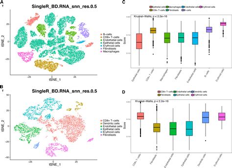 Construction Of Panoptosis Signature Novel Target Discovery For