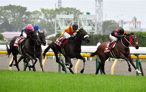 【新谷の日曜競馬コラム・マーメイドs】 日刊ゲンダイ競馬