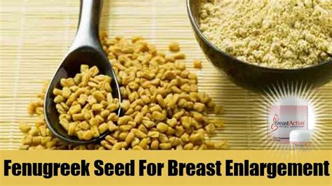 Fenugreek Seed For Breast Enlargement Youtube