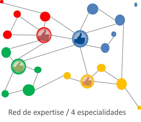 Reconocimiento Profesional Bravo Analiza Tus Redes Y Crece