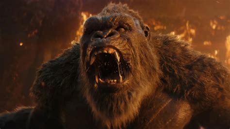 Godzilla X Kongs Director Found His Hairy Muse In A Michael Mann Movie