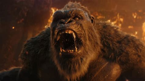 Godzilla X Kong S Director Found His Hairy Muse In A Michael Mann Movie