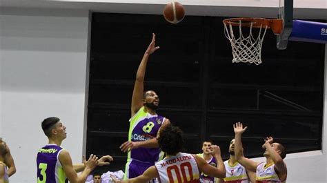 C Gold Sicilia Orsa Barcellona Mai Doma Ma Per Castanea Basket Arriva