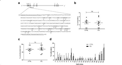 Methylation Of SNCA Intron1 Does Not Differ Between PD And Controls