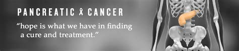 Pancreatic Cancer The India Healthcare