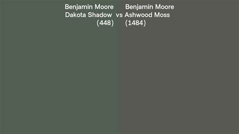 Benjamin Moore Dakota Shadow Vs Ashwood Moss Side By Side Comparison