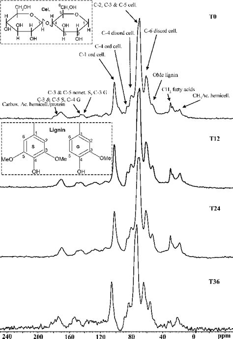 C Solid State Nmr Spectra By Time Months Example Structures For