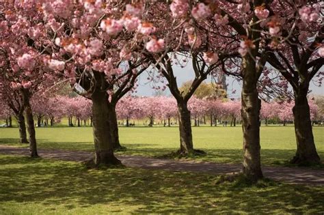 Edinburgh Naked Bike Ride Returning To City Centre As Council Gives Go Ahead Edinburgh Live