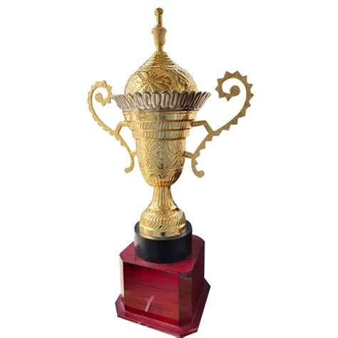 All Colors 28 Inch Golden Metal Trophy At Best Price In Bardoli M S