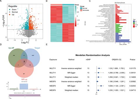 Frontiers Mendelian Randomization Analysis And Validation Supports