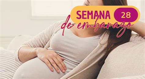 Semana 28 De Embarazo Los Mejores Consejos Profesionales Exclusivas