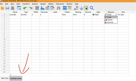 Chart Of Types Of Measure Spss Nominal Ordinal Scale Perbedaan Data