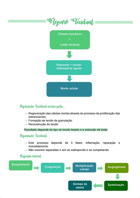 Mapas Mentais Sobre REPARO TECIDUAL Study Maps