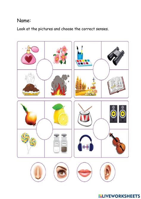 Senses Exercise For Preschool Live Worksheets