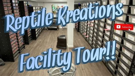 Reptile Kreations Facility Tour Check Out This Insane Ball Python