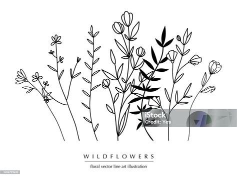 Botanical Abstract Line Art Composition Minimal Floral Border Of Hand