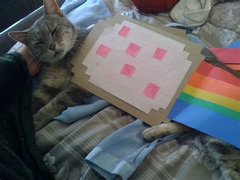 nyan cat costume by kieyoukie on DeviantArt