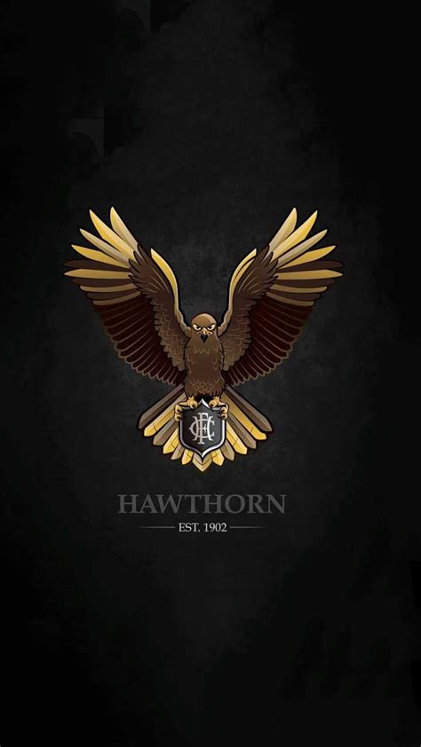 Hawthorn Hawks HD Phone Wallpaper Pxfuel