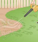 How To Edge A Lawn Without An Edger Steps With Pictures