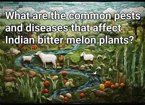 What Are The Common Pests And Diseases That Affect Indian Bitter Melon Plants Agriculture Gov