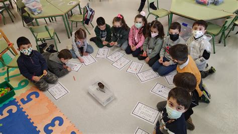 Os Unicornios De Infantil Experimento Flota Ou Afunde Anos