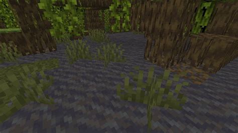 Mangrove Swamp Biome In Minecraft 119 Update Everything You Need To Know