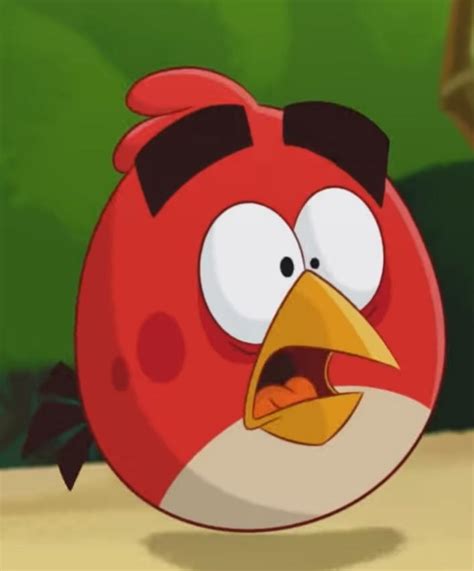 Shocked Red Bird By Blushneki522 On Deviantart