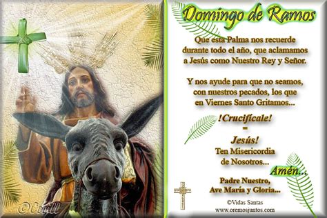 Domingo De Ramos 2019 Frases E Imágenes Para Compartir