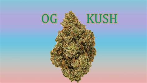 Og Kush Weed