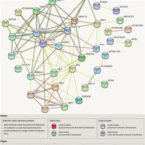 Genetic Regulatory Network Constructed For Drought And Salinity Download Scientific Diagram