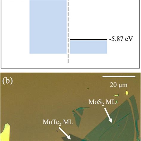 A Type II Band Alignment Of MoTe2 And MoS2 Monolayers And The