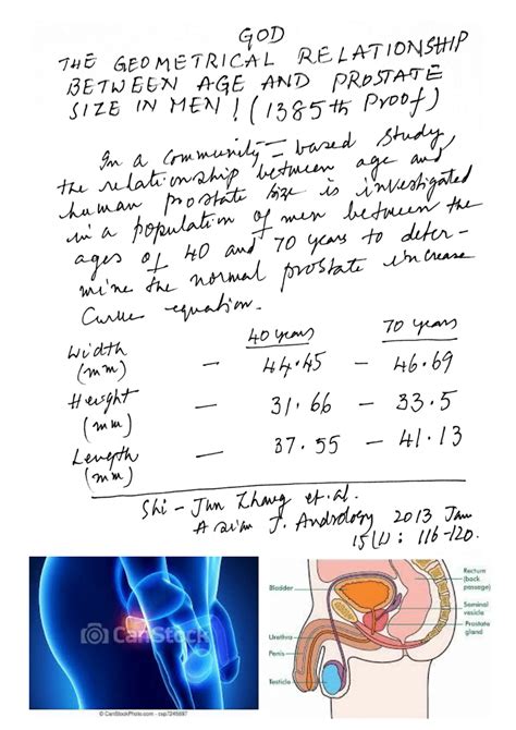 (PDF) THE GEOMETRICAL RELATIONSHIP BETWEEN AGE AND SIZE OF PROSTATE GLAND WITH AGE FROM 40 TO 70 ...