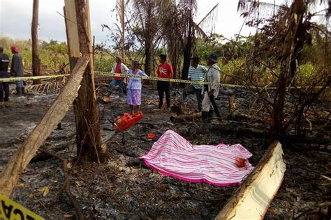 Muere Joven Al Caerle Un árbol En Zaragoza Veracruz Xeu Noticias Veracruz