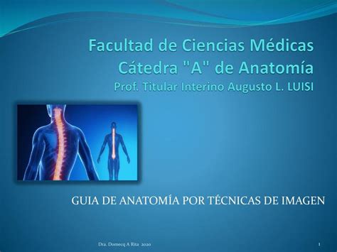 Introducción a la Anatomía por Imágenes Abner Reyes uDocz