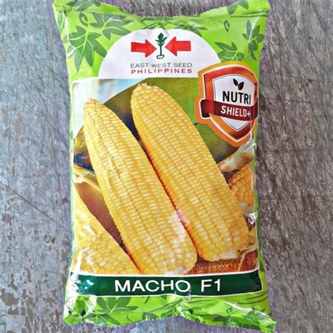 Macho F Hybrid Sweet Corn Seeds Kilo By East West Seed Shopee