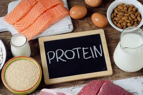 Why Is Protein Important To Us