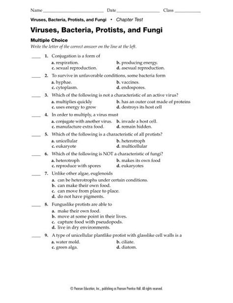 34 Introduction To Bacteria And Viruses Worksheet Answers Support