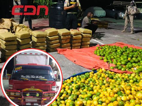 Cesfront Y DNCD Incautan Carga Naranjas 368 Libras De Marihuana