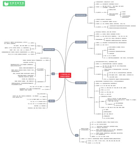 八年级生物上册思维导图 人教版初二生物知识整理知犀官网