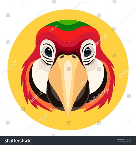 80 Parrot Front View Stock Illustrations Images And Vectors Shutterstock