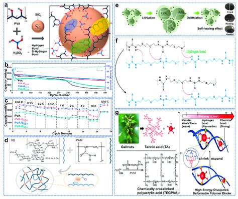 A Schematic Of The Cross−linking Mechanism For Pva−b Complexes And