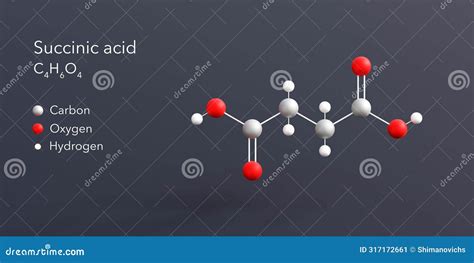 Succinic Acid Molecule 3d Rendering Flat Molecular Structure With