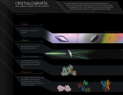 Comunicaci N Amc La Cristalograf A De Rayos X Y La Estructura En D