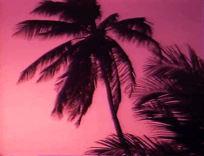 Pink Aesthetic Wallpaper Desktop Gif / Aesthetic Gif Wallpapers Top ...