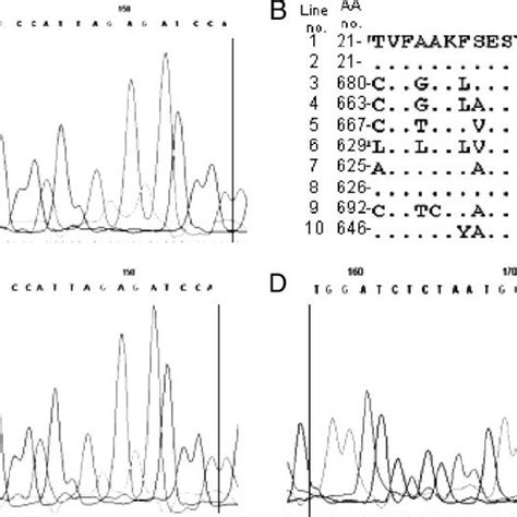 Dna Sequencing Chromatograms And Amino Acid Sequence Alignment For C