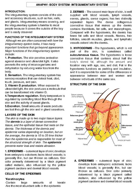 Integumentary System - INTRODUCTION: The integumentary system consists