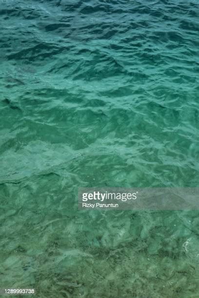 Underwater River Background Photos And Premium High Res Pictures