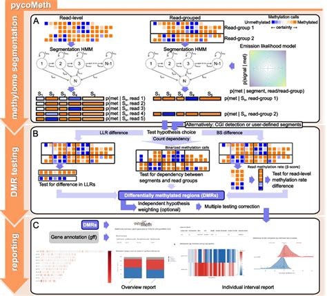 Example Pycometh Workflow For Differential Methylation Analysis A