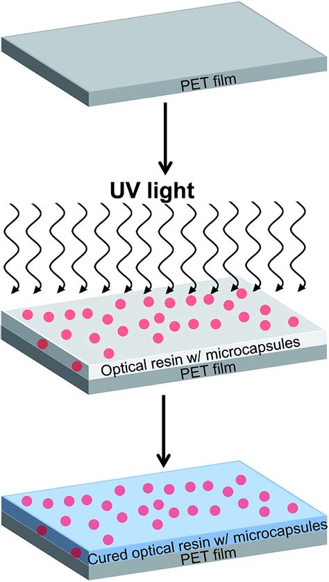 Schematic Describing A Preparation Of The Microcapsules Embedded