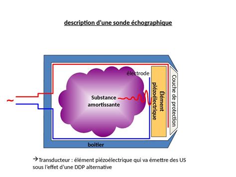 Bases Physiques De L Chographie Epg Theme